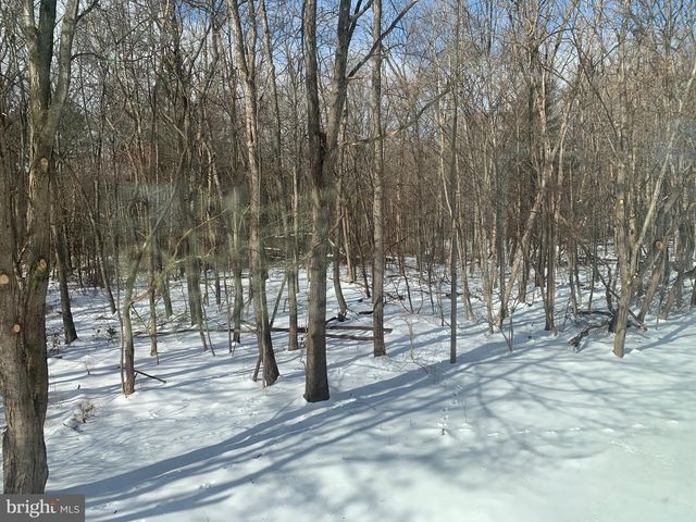 305 COOPER LN, Mcconnellsburg, PA 17233