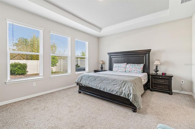 10569 TRANQUIL MEADOW LOOP, Riverview, FL 33569