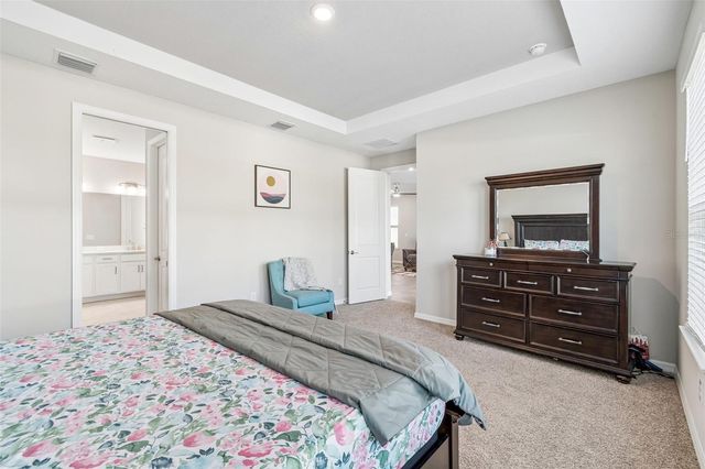 10569 TRANQUIL MEADOW LOOP, Riverview, FL 33569