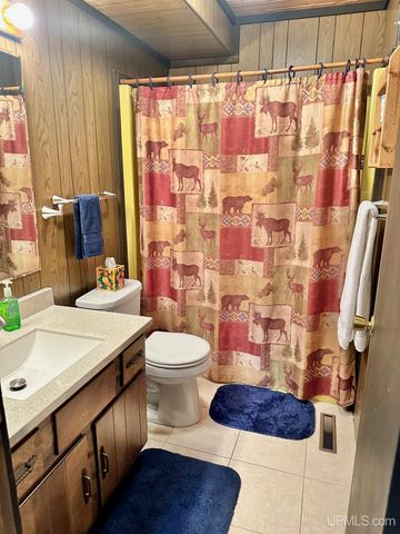 10830 N Blunder Road, Bessemer, MI 49911