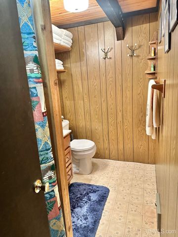 10830 N Blunder Road, Bessemer, MI 49911