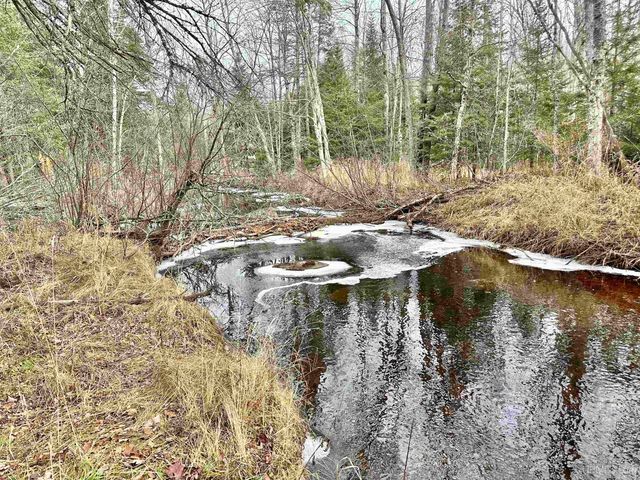 10830 N Blunder Road, Bessemer, MI 49911