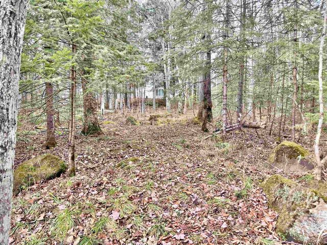 10830 N Blunder Road, Bessemer, MI 49911