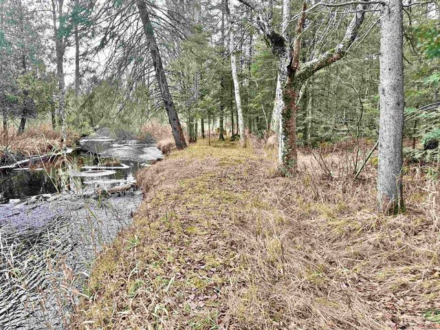 10830 N Blunder Road, Bessemer, MI 49911