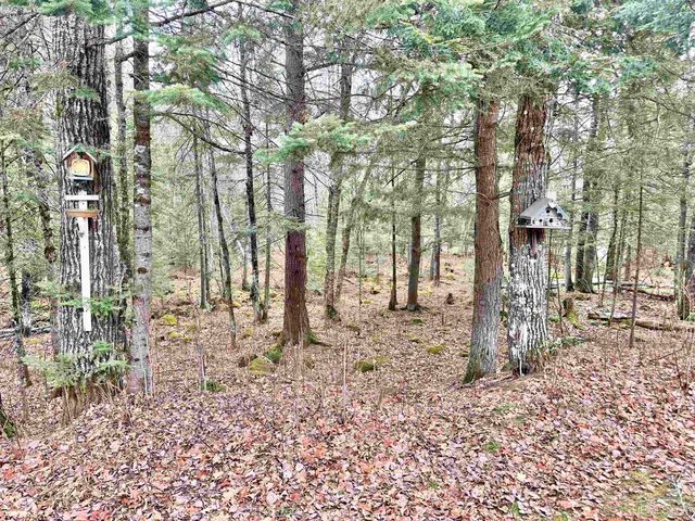 10830 N Blunder Road, Bessemer, MI 49911