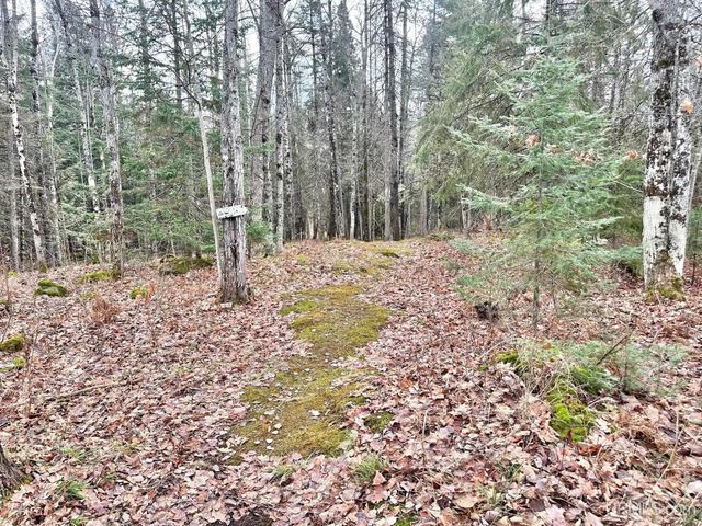 10830 N Blunder Road, Bessemer, MI 49911