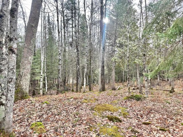 10830 N Blunder Road, Bessemer, MI 49911