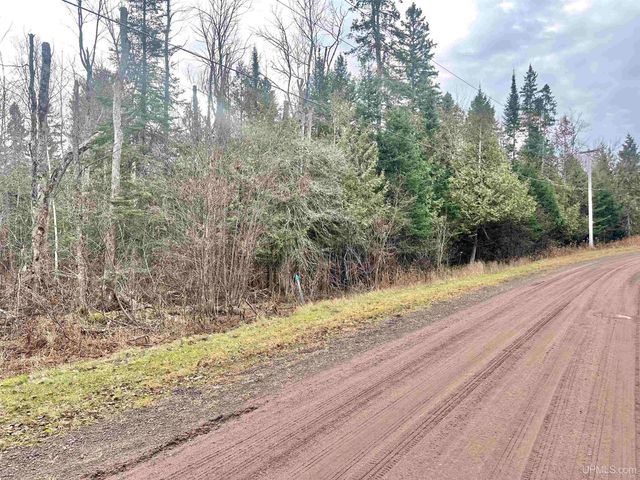 10830 N Blunder Road, Bessemer, MI 49911