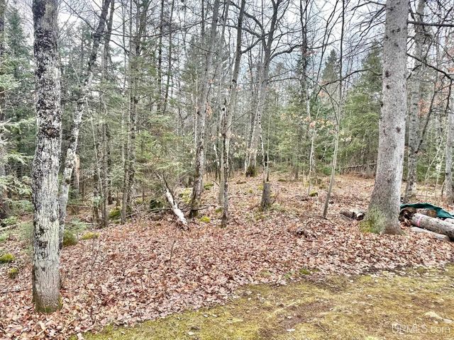 10830 N Blunder Road, Bessemer, MI 49911