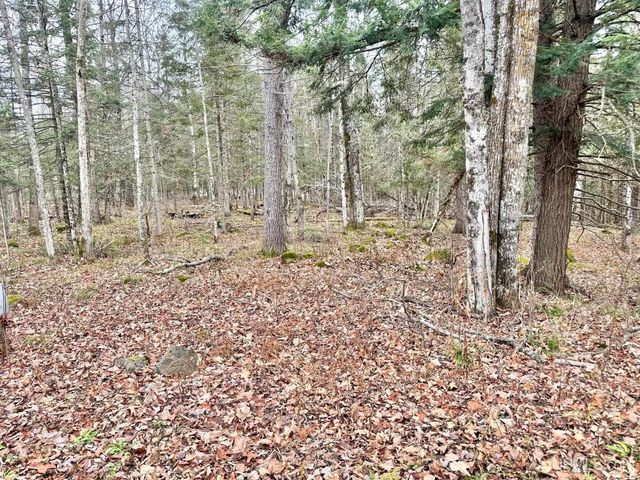 10830 N Blunder Road, Bessemer, MI 49911