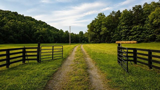 7075 Pinewood Rd, Nunnelly, TN 37137
