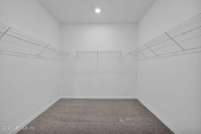 3255 WILLOWLEAF Lane, Green Cove Springs, FL 32043