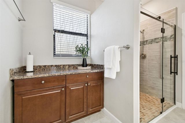 32135 GODDARD DRIVE, Wesley Chapel, FL 33543