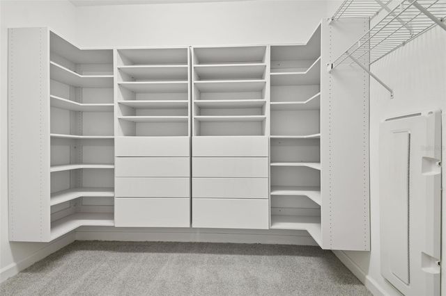 32135 GODDARD DRIVE, Wesley Chapel, FL 33543