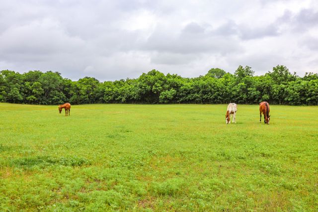 1771 Old Annetta Road, Aledo, TX 76008