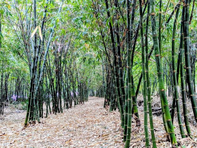 0 US HIGHWAY 27 HIGHWAY, Lake Wales, FL 33859