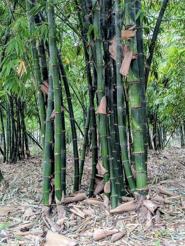 0 US HIGHWAY 27 HIGHWAY, Lake Wales, FL 33859