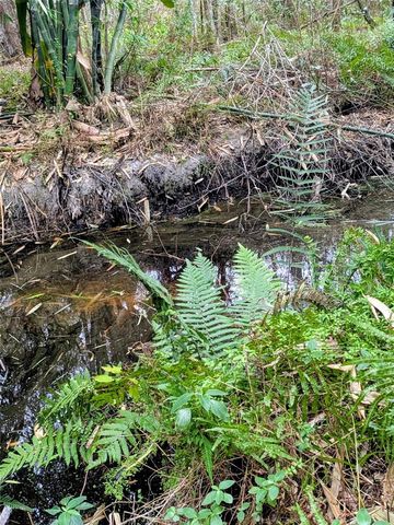 0 US HIGHWAY 27 HIGHWAY, Lake Wales, FL 33859