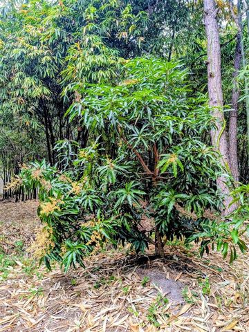 0 US HIGHWAY 27 HIGHWAY, Lake Wales, FL 33859