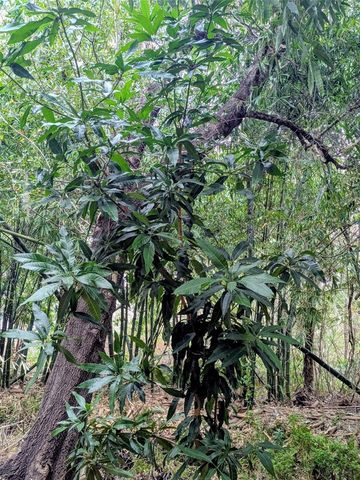 0 US HIGHWAY 27 HIGHWAY, Lake Wales, FL 33859