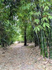 0 US HIGHWAY 27 HIGHWAY, Lake Wales, FL 33859