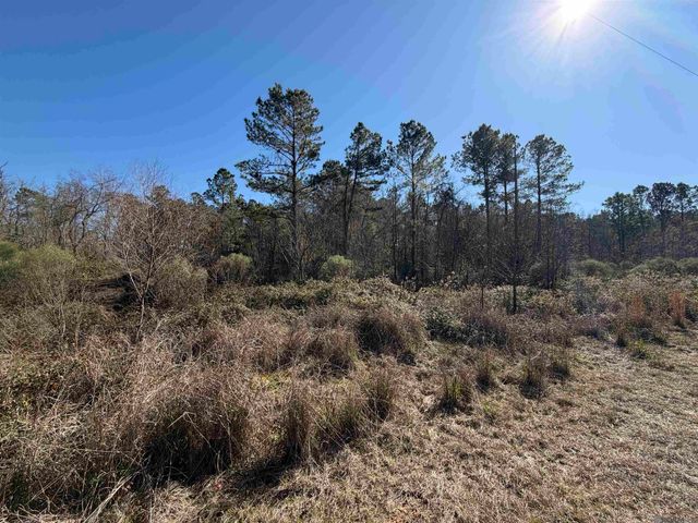 Lot 5-D Texas St, Livingston, LA 70754