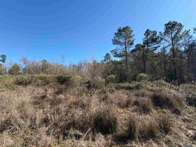 Lot 5-D Texas St, Livingston, LA 70754
