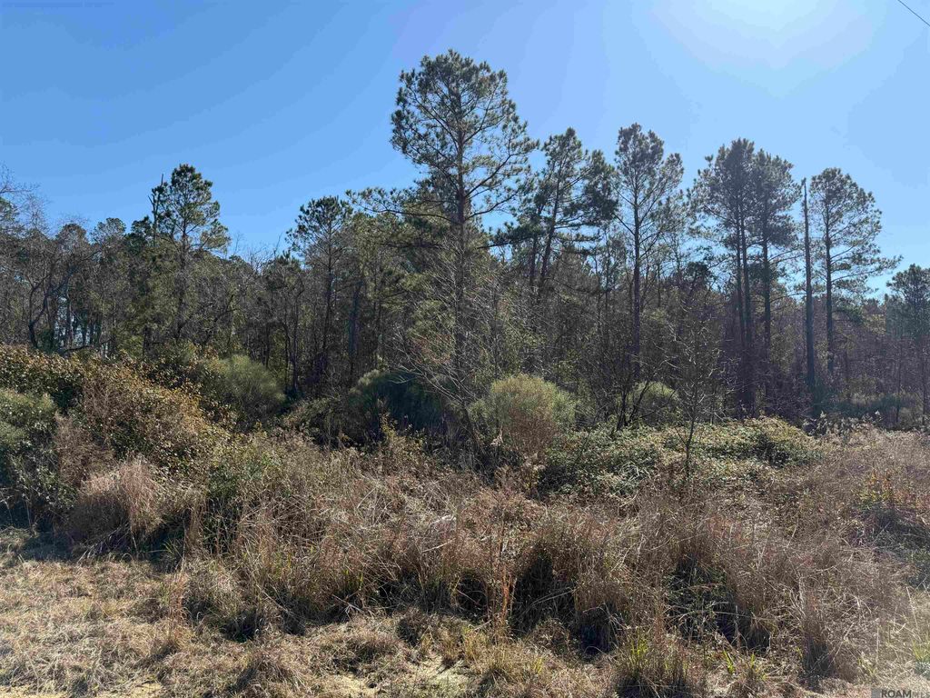 Lot 5-D Texas St, Livingston, LA 70754