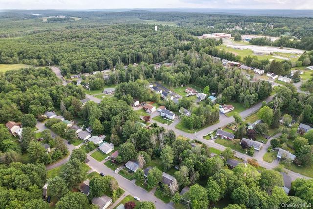 162 Park Avenue, Monticello, NY 12701