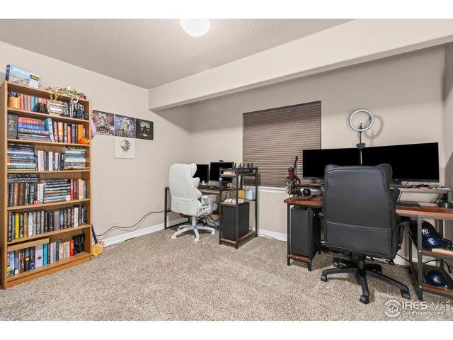 4609 Waltham Dr, Windsor, CO 80550