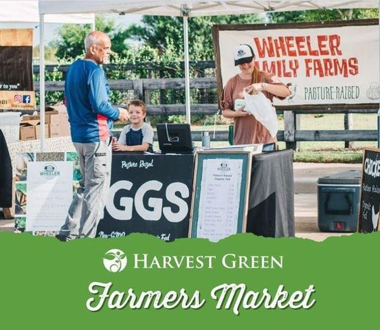 423 Yellow Dandelion Lane, Richmond, TX 77406