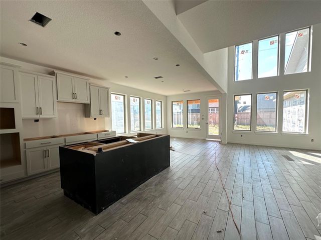 423 Yellow Dandelion Lane, Richmond, TX 77406