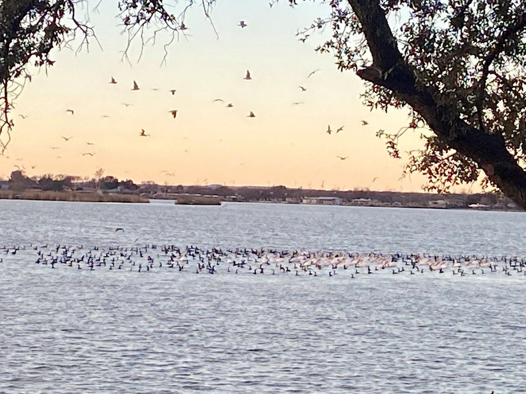 Image 2 of property listing at 1911 Beaty Rd # 27, San Angelo, TX 76904