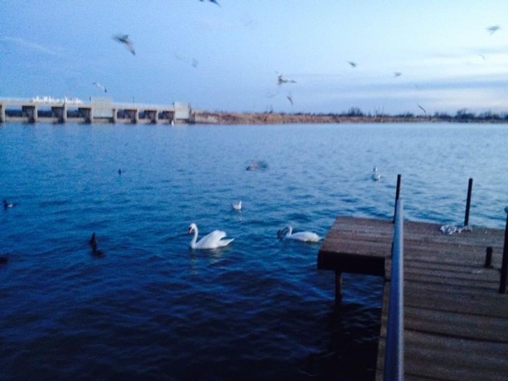 Image 7 of property listing at 1911 Beaty Rd # 27, San Angelo, TX 76904