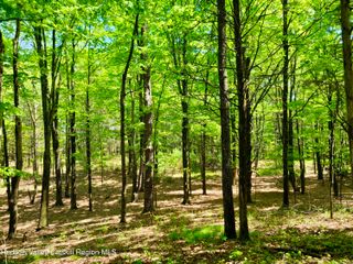 221 South Road, Kingston, NY 12401