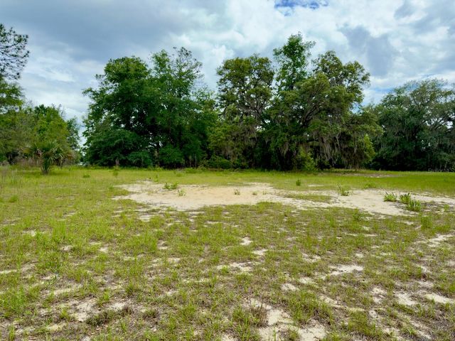 00 SE 146TH TERRACE ROAD, Ocklawaha, FL 32179