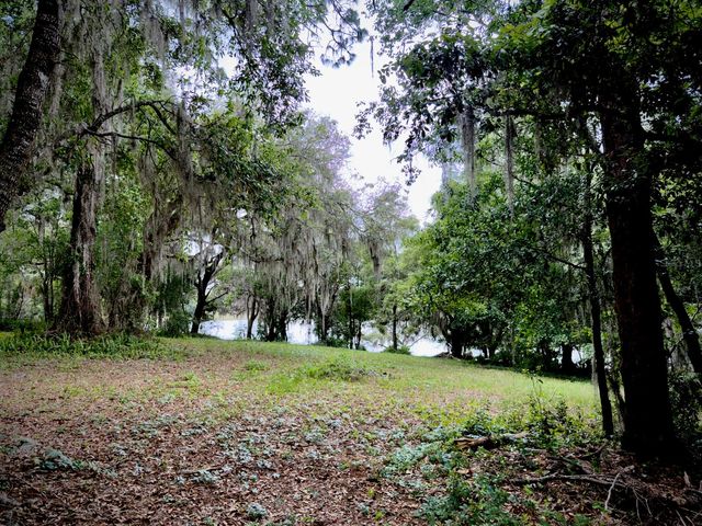 00 SE 146TH TERRACE ROAD, Ocklawaha, FL 32179