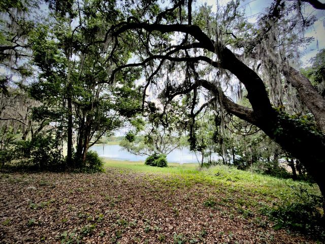 00 SE 146TH TERRACE ROAD, Ocklawaha, FL 32179