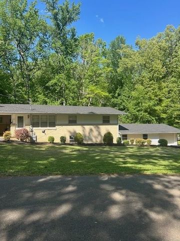 253 Woodland Acres Rd, Paris, TN 38242