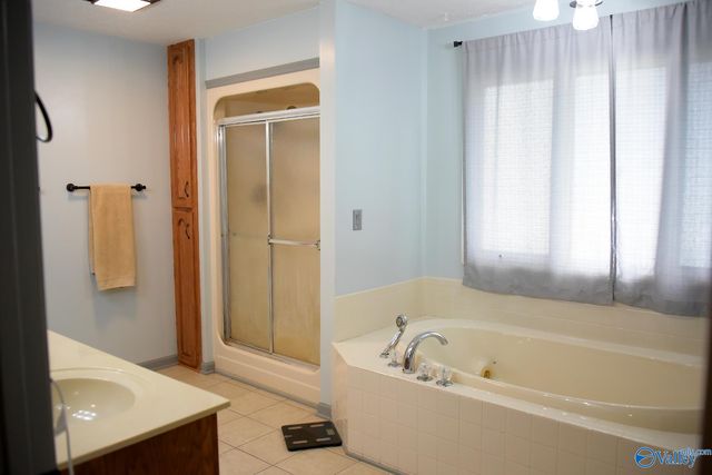 27256 Jarrod Blvd, Harvest, AL 35749
