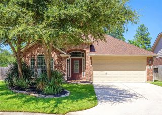21118 Dusty Glen Lane, Spring, TX 77379