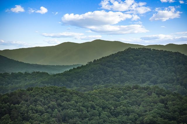 395 Pontoosuc Drive, Mineral Bluff, GA 30559