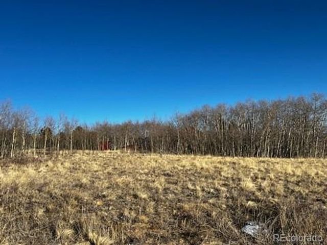 3538 High Creek Road, Fairplay, CO 80440