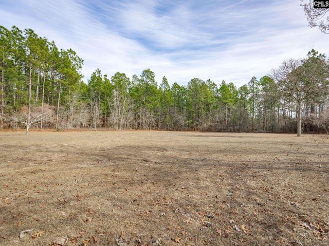 1133 Charles Town Road, Leesville, SC 29070