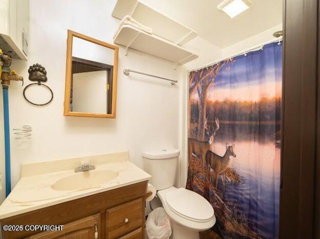 66445 Oil Well Road, Ninilchik, AK 99639