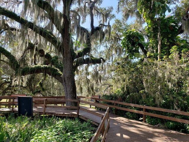 3009 LIVE OAK LANE #33, Palmetto, FL 34221