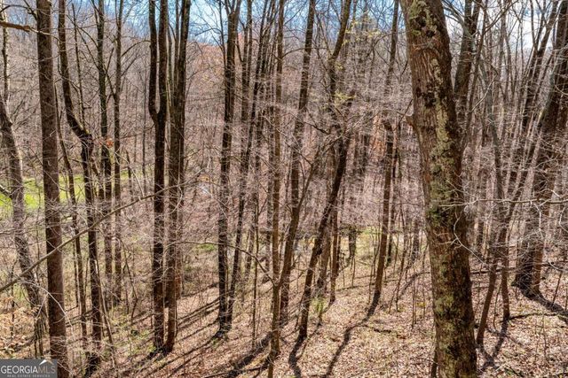 1040 Smithwyck Drive, Canton, GA 30115