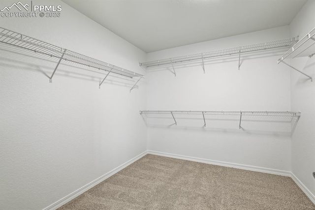 9134 Chieftan Drive, Colorado Springs, CO 80925