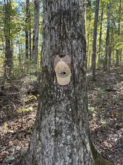 0 Columbia Hwy, Hohenwald, TN 38462