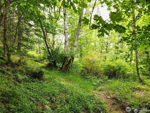 101 N Arnolds Way, Hoodsport, WA 98548